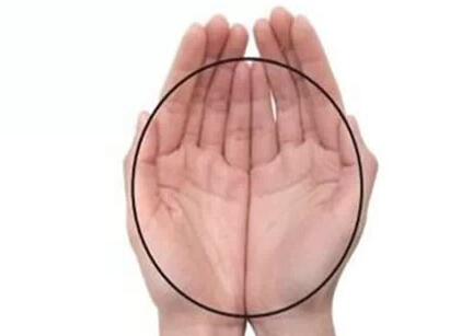 U020211022508509052905.png